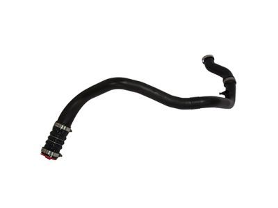 Ford BL3Z-6C646-A Lower Hose