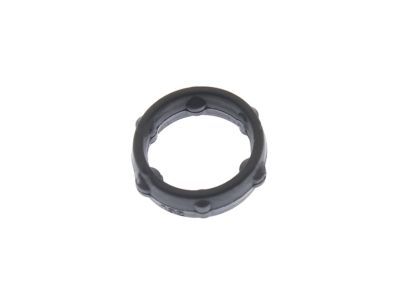 Ford BL3Z-9374-A Mount Plate Seal