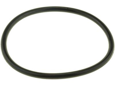 Ford -W702837-S300 Thermostat O-Ring