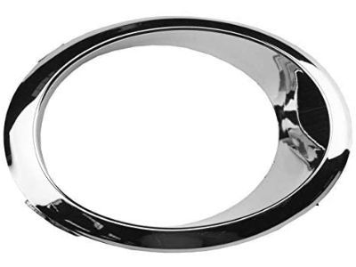 Ford DS7Z-17E810-AA Trim Ring