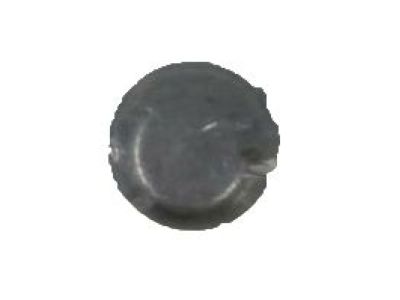 Ford 2L1Z-1131-AA Cap - Grease