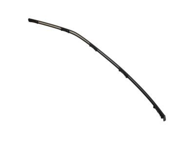 Ford CP9Z-5450462-A Roof Molding