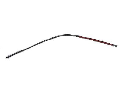 Ford 4L3Z-1503136-AA Side Molding