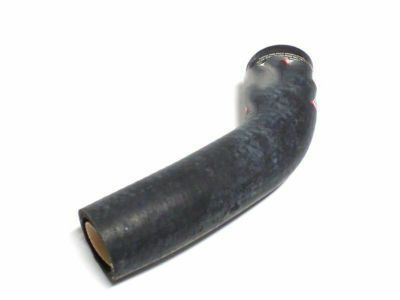 Ford F3LY-8286-C Lower Hose