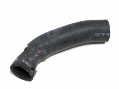 Ford F3LY-8286-C Lower Hose