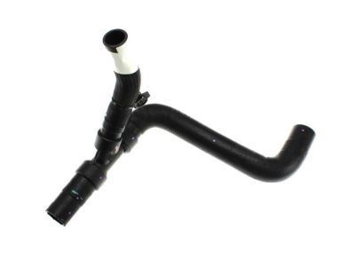 Ford DS7Z-8260-A Upper Hose