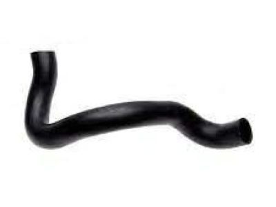 Ford F5TZ-8286-D Lower Hose
