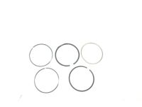 OEM Ford Escape Piston Rings - XW4Z-6148-A
