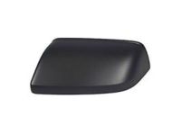 OEM Ford Expedition Mirror Cover - JL1Z-17D743-CA