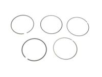 OEM Ford Expedition Piston Rings - BL3Z-6148-C