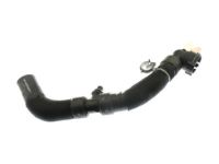 OEM Lincoln MKZ Lower Hose - HP5Z-8286-A