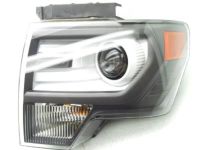 OEM Ford F-150 Composite Headlamp - DL3Z-13008-CB