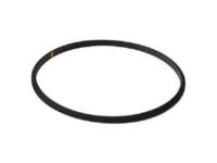 OEM Ford Excursion Thermostat Seal - F81Z-8255-AA