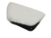 OEM Ford F-150 Mirror Cover - FL3Z-17D743-EA