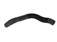 OEM Ford Mustang Upper Hose - BR3Z-8260-AA