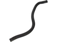 OEM Ford Excursion Overflow Hose - F81Z-8075-AA