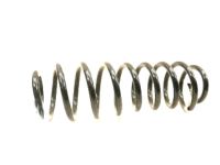 OEM Ford Mustang Coil Spring - BR3Z-5560-C