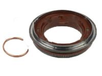 OEM Ford Expedition Axle Seals - 7L1Z-4A109-D