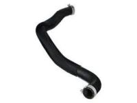 OEM Lincoln Lower Hose - AT4Z-8286-A