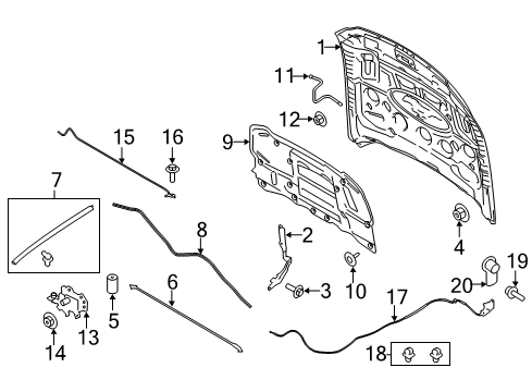 2016 Ford Mustang Hood & Components Hood Diagram for FR3Z-16612-E
