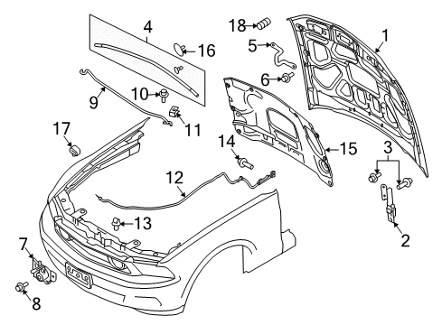 2013 Ford Mustang Hood & Components Hood Diagram for DR3Z-16612-B