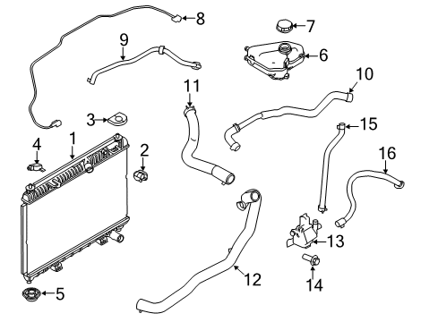 2015 Ford Fiesta Radiator & Components Radiator Diagram for C1BZ-8005-B