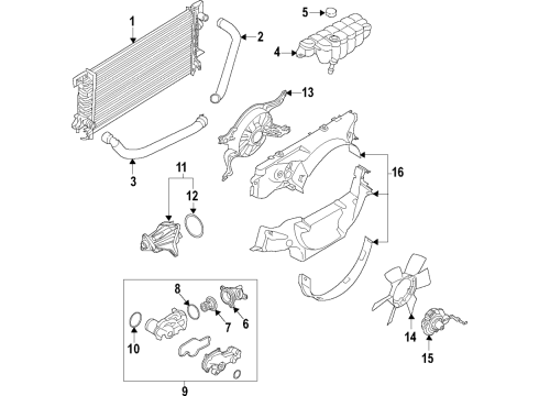 2020 Ford F-150 Cooling System, Radiator, Water Pump, Cooling Fan Upper Shroud Diagram for JL3Z-8146-C