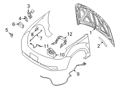 2011 Ford Focus Hood & Components Hood Diagram for 8S4Z-16612-A