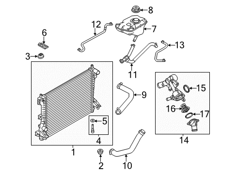 2012 Ford Mustang Radiator & Components Lower Hose Diagram for BR3Z-8286-AA