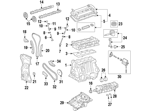 2011 Ford Focus Engine Parts, Mounts, Cylinder Head & Valves, Camshaft & Timing, Oil Pan, Oil Pump, Crankshaft & Bearings Chain Guide Diagram for 1S7Z-6M256-CA