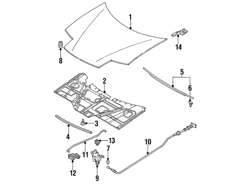 1993 Ford Probe Hood & Components Lock Diagram for F32Z16700B