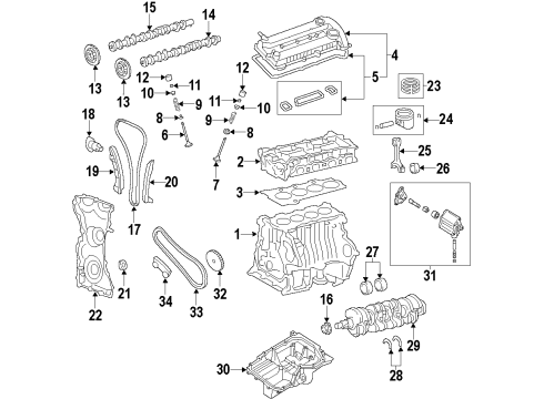 2012 Ford Transit Connect Engine Parts, Mounts, Cylinder Head & Valves, Camshaft & Timing, Oil Cooler, Oil Pan, Oil Pump, Crankshaft & Bearings, Pistons, Rings & Bearings Chain Guide Diagram for 1S7Z-6K254-CA