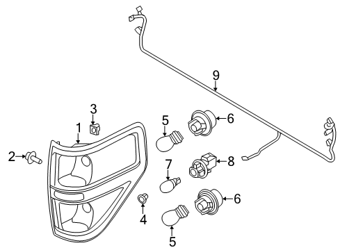 2013 Ford F-150 Bulbs Tail Lamp Assembly Diagram for BL3Z-13405-B