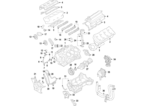 2010 Ford Taurus Engine Parts, Mounts, Cylinder Head & Valves, Camshaft & Timing, Variable Valve Timing, Oil Pan, Oil Pump, Adapter Housing, Crankshaft & Bearings, Pistons, Rings & Bearings Chain Guide Diagram for AA5Z-6M256-A