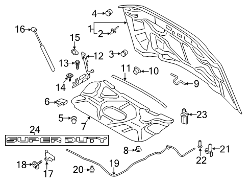 2019 Ford F-350 Super Duty Hood & Components Hood Diagram for HC3Z-16612-A