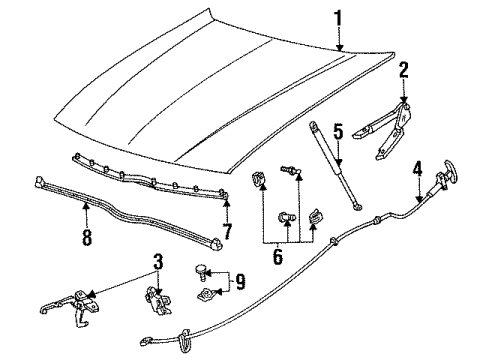 1995 Mercury Sable Hood & Components Hood Diagram for F24Y16612A