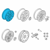 OEM Lincoln Wheel, Alloy Diagram - HP5Z-1007-D