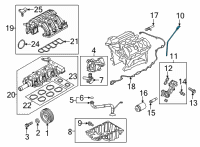 OEM Ford F-150 Dipstick Diagram - JL3Z-6750-D