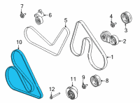 OEM Ford F-150 Water Pump Belt Diagram - BL3Z-8620-G