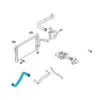 OEM Ford Edge Lower Hose Diagram - AT4Z-8286-A