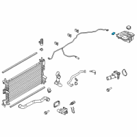 OEM Ford Focus Reservoir Plug Diagram - AV6Z-8K103-A