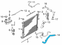 OEM Ford Explorer Lower Hose Diagram - L1MZ-8286-K