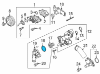 OEM Ford Escape Thermostat O-Ring Diagram - HL3Z-8255-A