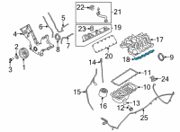 OEM Ford E-350 Super Duty Manifold Gasket Diagram - AC2Z-9439-A