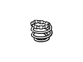OEM Lincoln Town Car Coil Springs - EOAY5560A