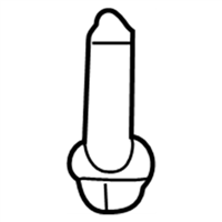 Ford -N806155-S437 Tube Screw