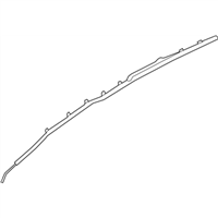 Ford GM5Z-17042D94-A Curtain Assembly