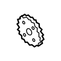 Ford 8E5Z-6652-A Gear