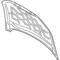 Ford DS7Z-16612-B Hood Assembly
