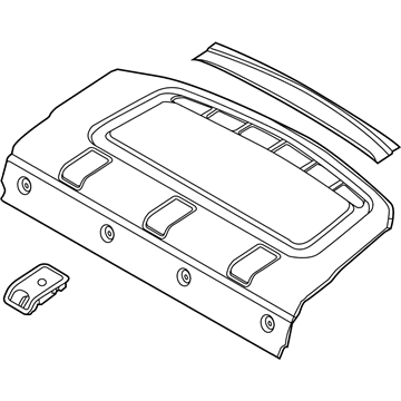 Ford DM5Z-5446668-BE Package Tray Trim